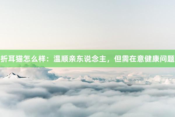 折耳猫怎么样：温顺亲东说念主，但需在意健康问题
